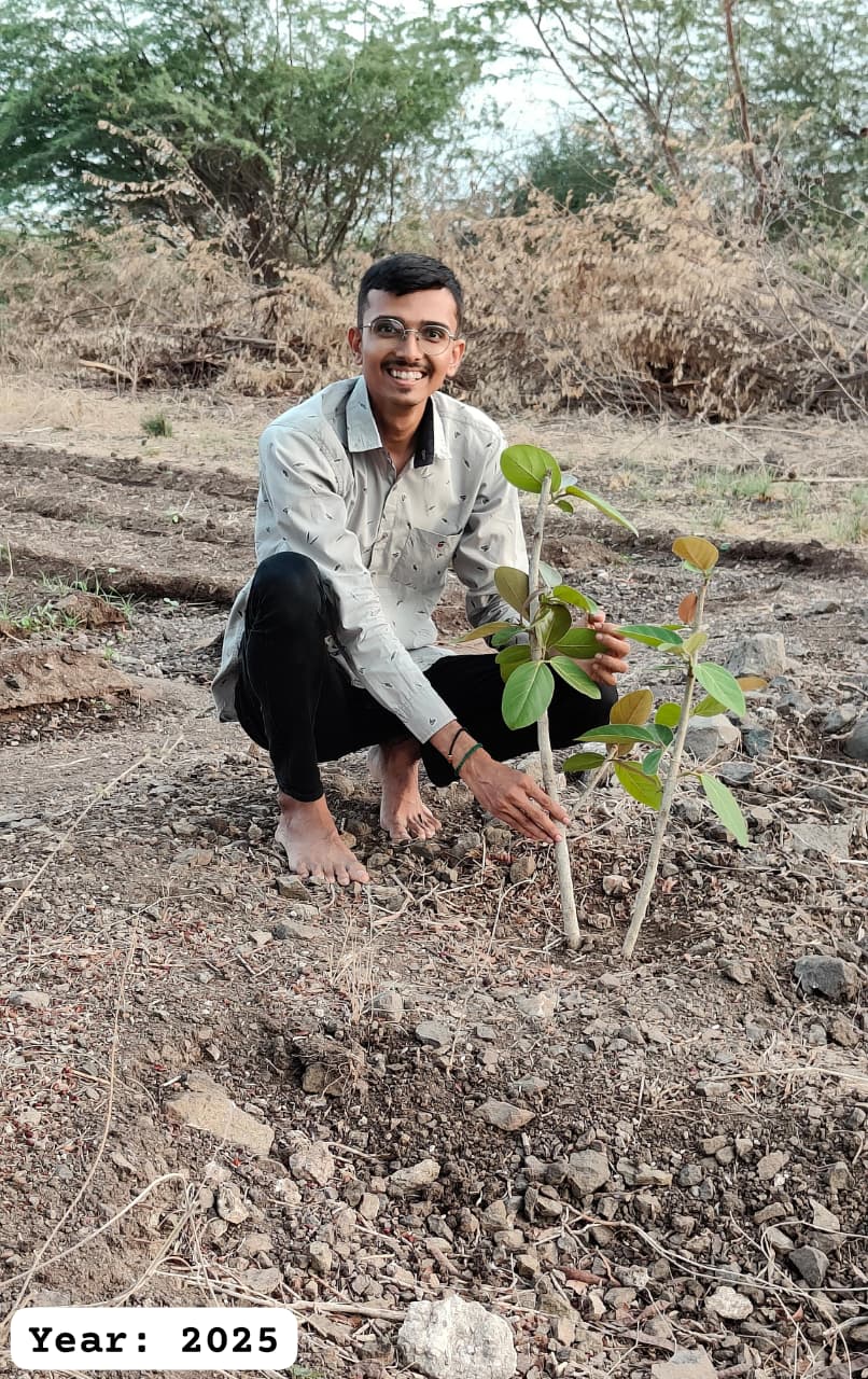 Tree planting initiative
